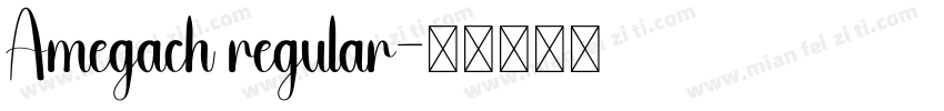 Amegach regular字体转换